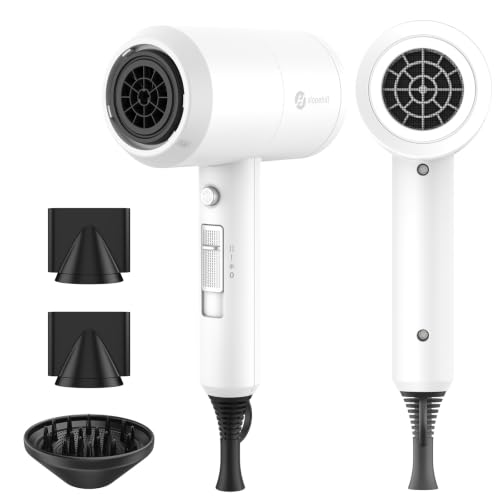 Professional Ionic Fast-Drying Hair Dryer