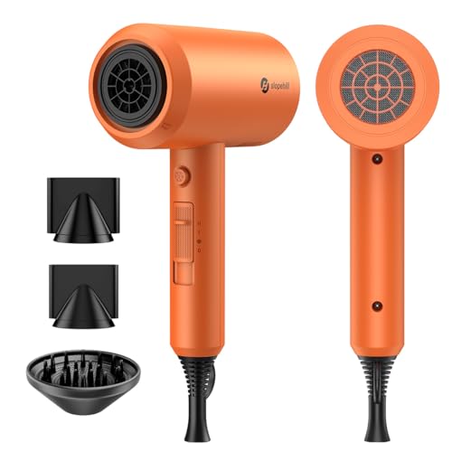 Professional Ionic Fast-Drying Hair Dryer