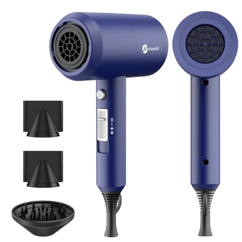 Professional Ionic Fast-Drying Hair Dryer