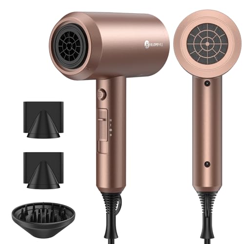 Professional Ionic Fast-Drying Hair Dryer