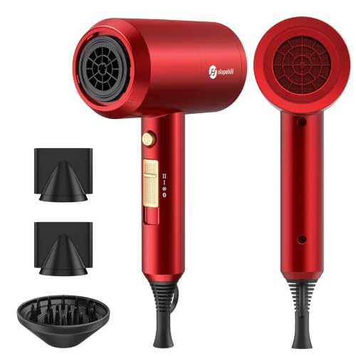 Professional Ionic Fast-Drying Hair Dryer
