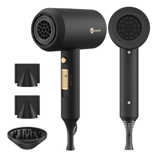 Professional Ionic Fast-Drying Hair Dryer