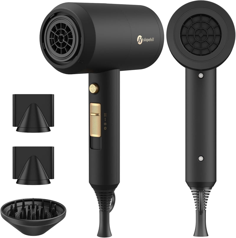 Professional Ionic Fast-Drying Hair Dryer